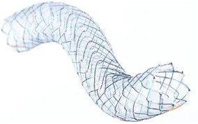 TaeWoong Niti-S™ Comvi™ Biliary Stent