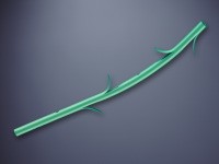 Cook® Plastic Pancreatic Stents And Introducers
